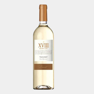 XVIII Saint Luc